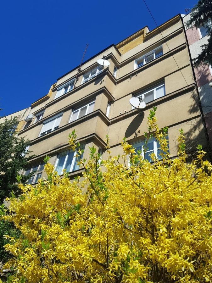 Appartamento Затишні Смарт-Квартири В Історичному Центрі! Užhorod Esterno foto